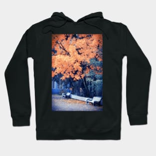 Autumn Park Hoodie